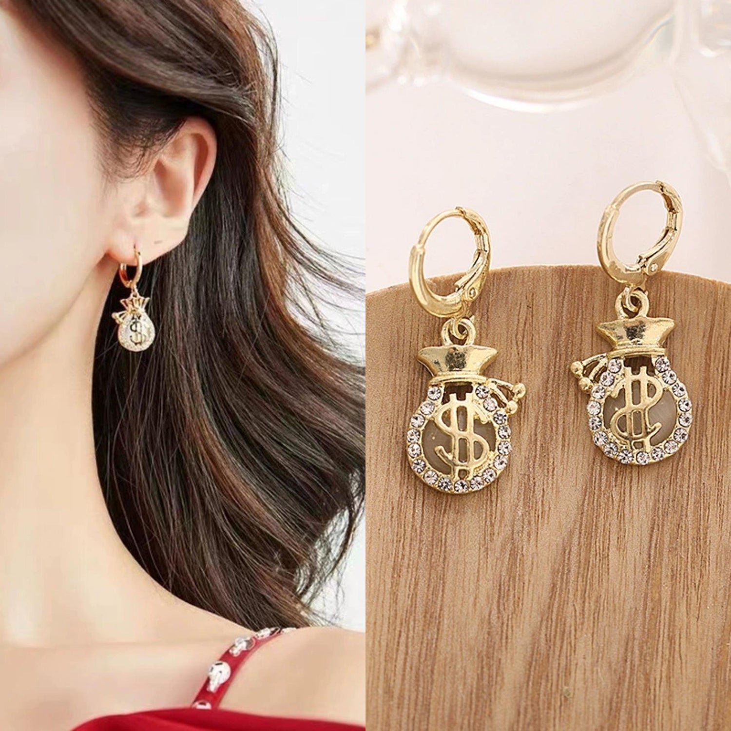 Dollar-Money-Bag-Earrings 2