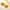 Chic Gold Shell Statement Earrings