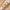 Dazzling Hearts Golden Earrings